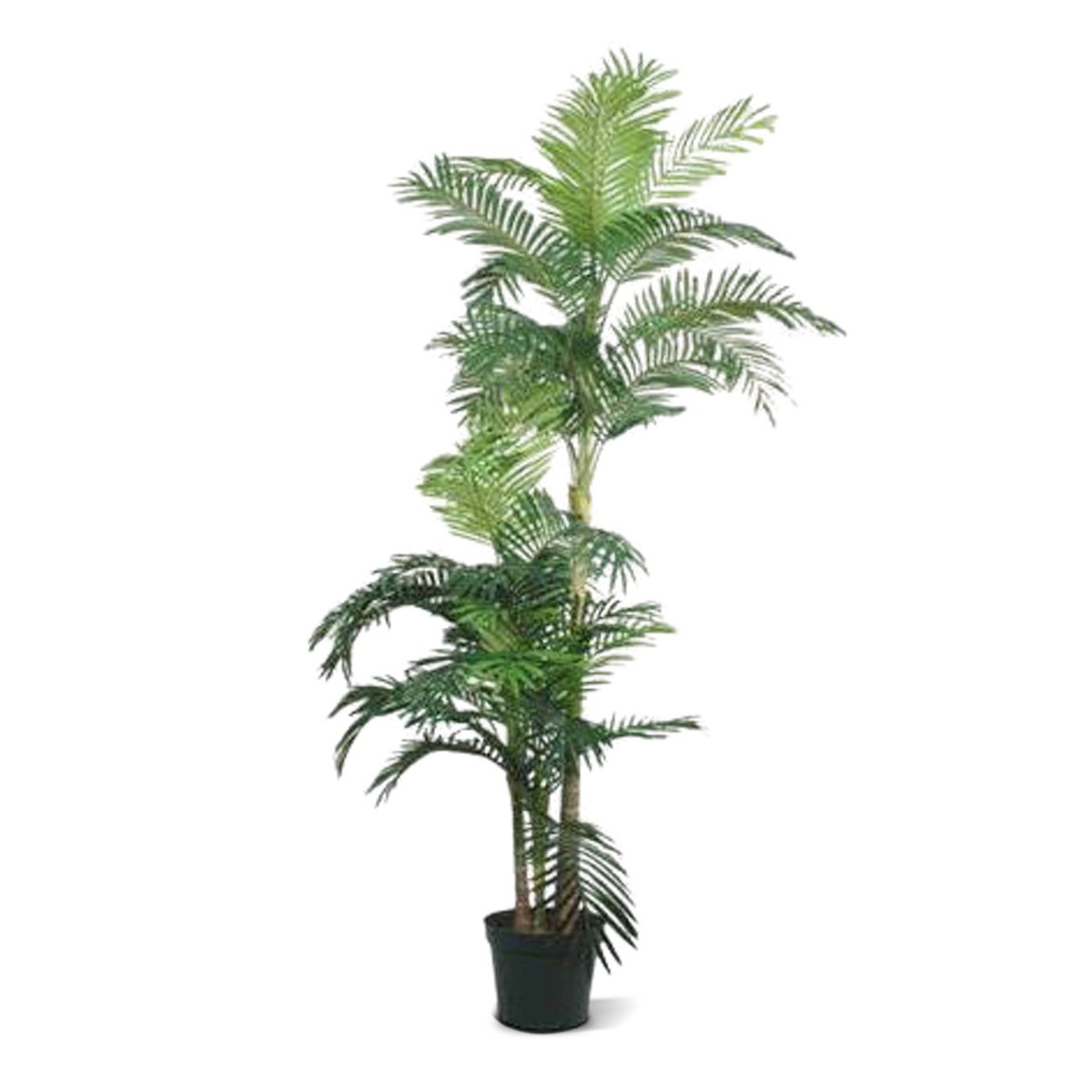 HSM Collection-Kunstpalm Greens Areca-75x100x180-Groen-Kunstzijde